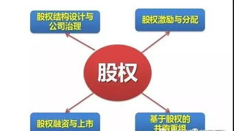 股權投資最強大的武器 資本思維